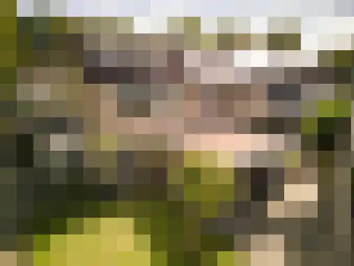 Bantingstraat 40 Hengelo thumbnail 52