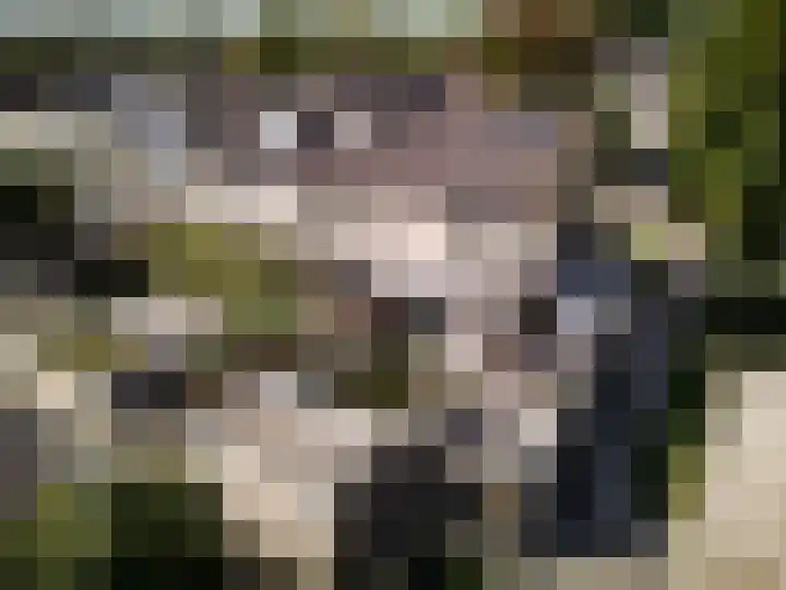 Bantingstraat 40 Hengelo thumbnail 55