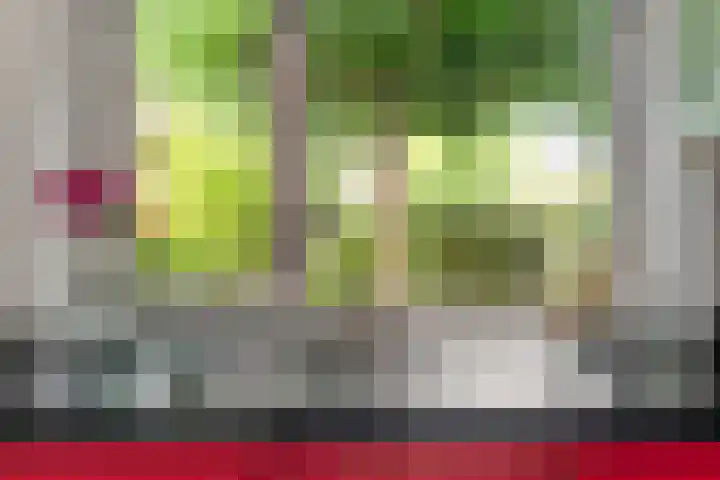 Bantpolder 14 Amersfoort thumbnail 13
