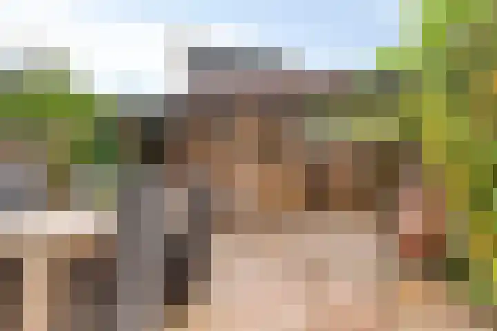 Bantpolder 14 Amersfoort thumbnail 23