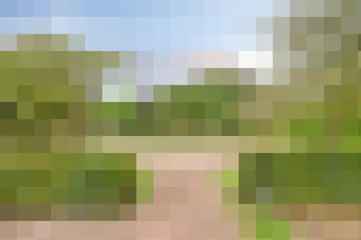 Bantpolder 14 Amersfoort thumbnail 26