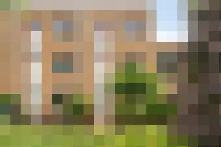 Bantpolder 14 Amersfoort thumbnail 32