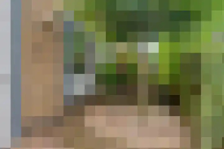 Bantpolder 14 Amersfoort thumbnail 5