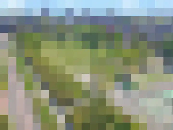 Bantpolder 40 Amersfoort thumbnail 5