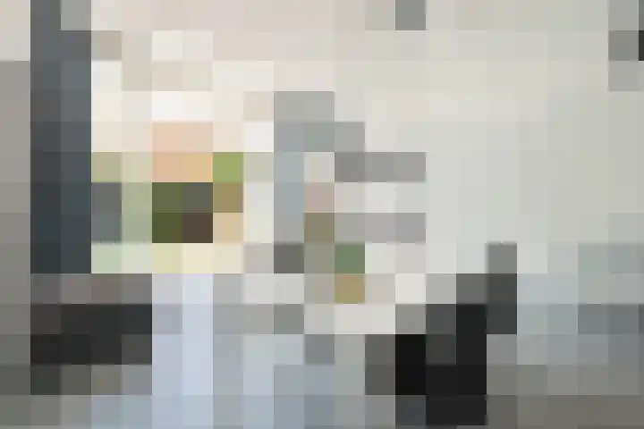Bantpolder 42 Amersfoort thumbnail 19