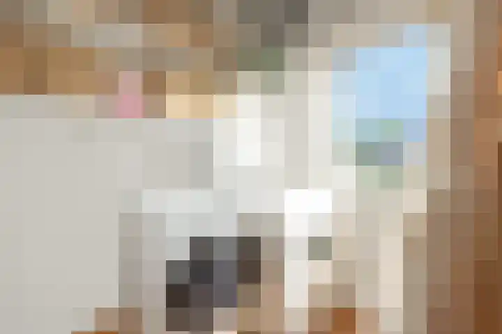 Bantpolder 42 Amersfoort thumbnail 38