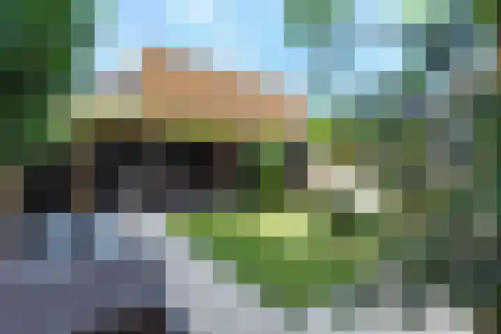 Bantpolder 42 Amersfoort thumbnail 41