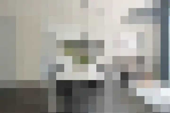 Bantpolder 42 Amersfoort thumbnail 8