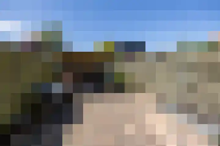 Bantpolder 50 Amersfoort thumbnail 30