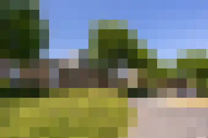 Bantpolder 50 Amersfoort thumbnail 33