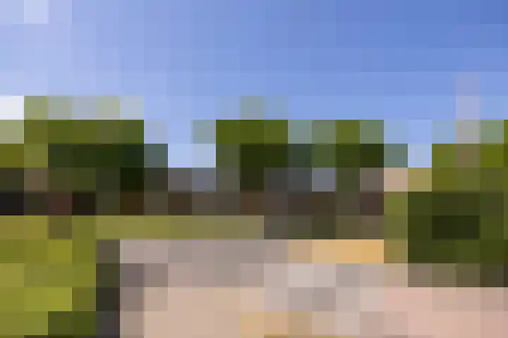 Bantpolder 50 Amersfoort thumbnail 34