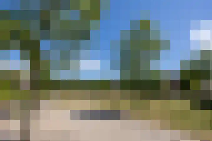 Bantpolder 50 Amersfoort thumbnail 35