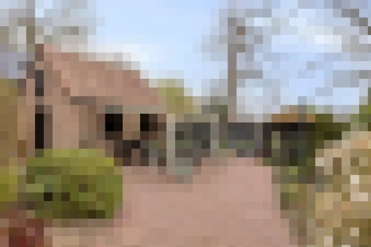 Bantuinweg 25 Rhenen thumbnail 29