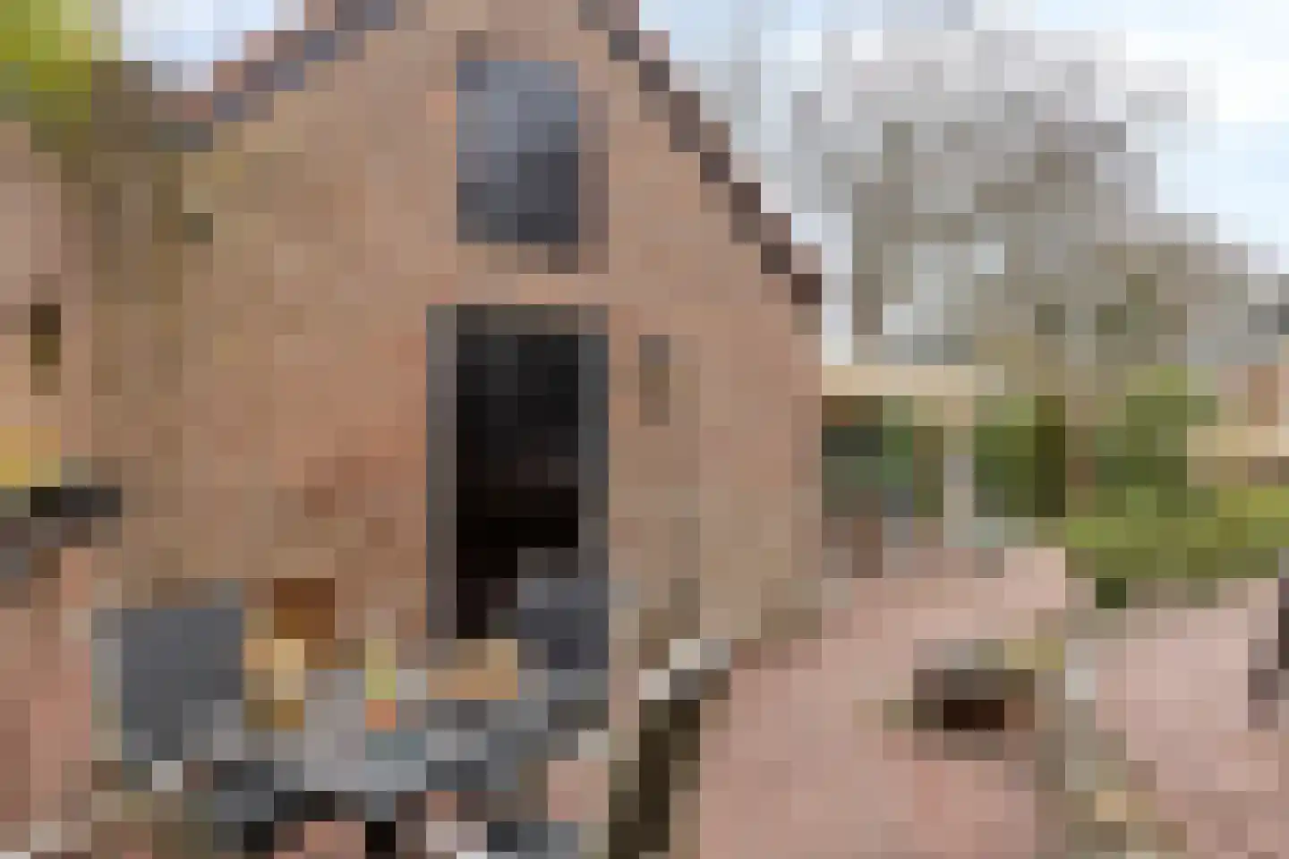 Bantuinweg 25 Rhenen thumbnail 30