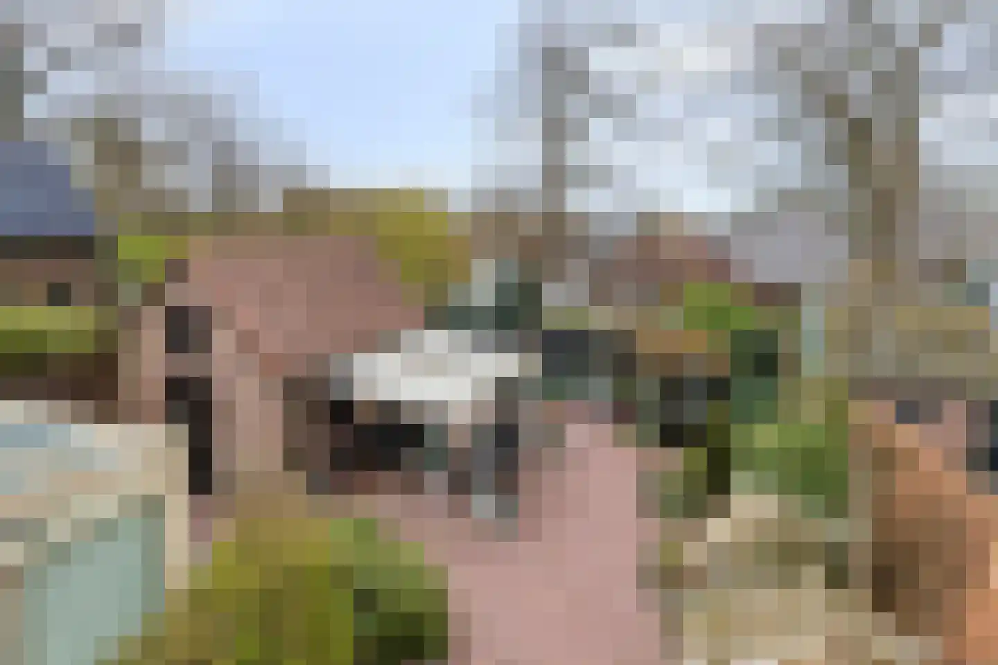 Bantuinweg 25 Rhenen thumbnail 5