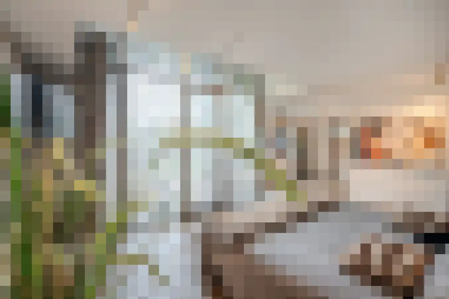 Banweg 2 Egmond aan den Hoef thumbnail 21