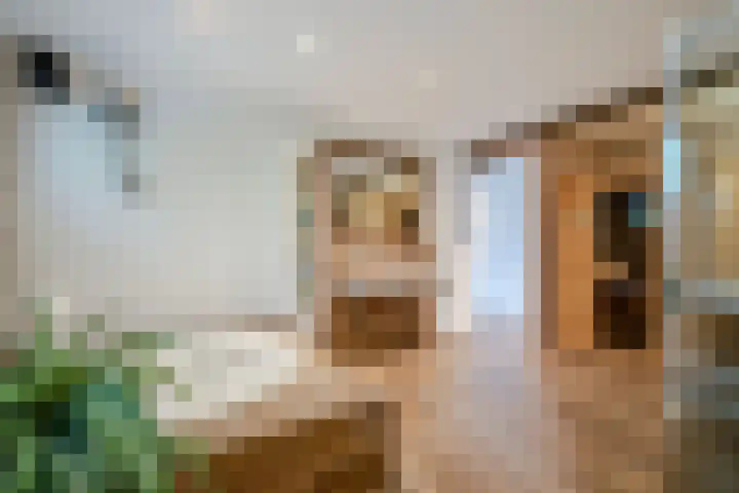 Banweg 2 Egmond aan den Hoef thumbnail 24
