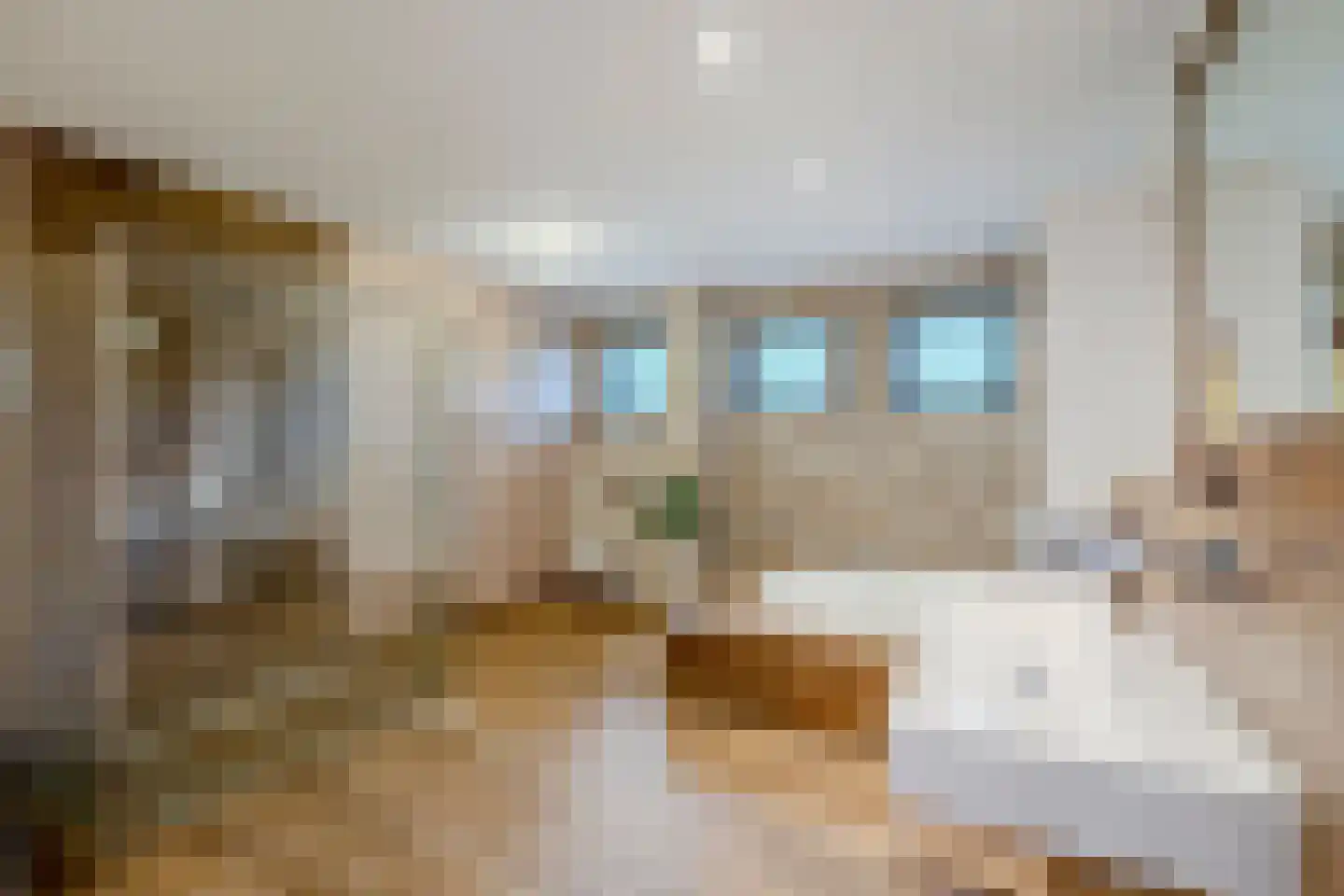 Banweg 2 Egmond aan den Hoef thumbnail 25