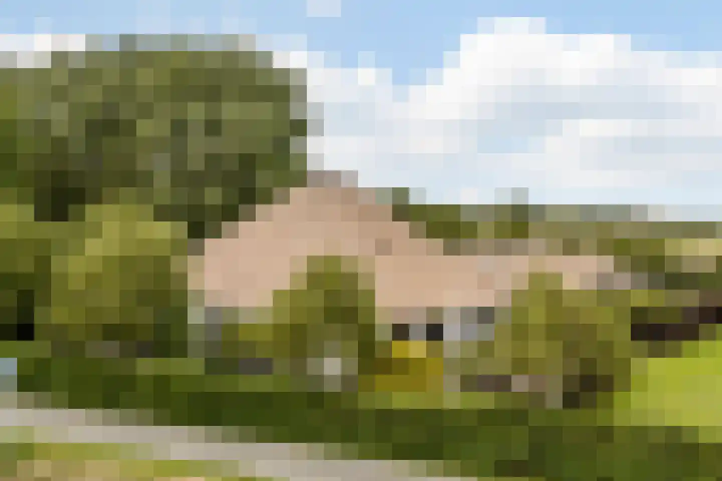 Banweg 2 Egmond aan den Hoef thumbnail 33