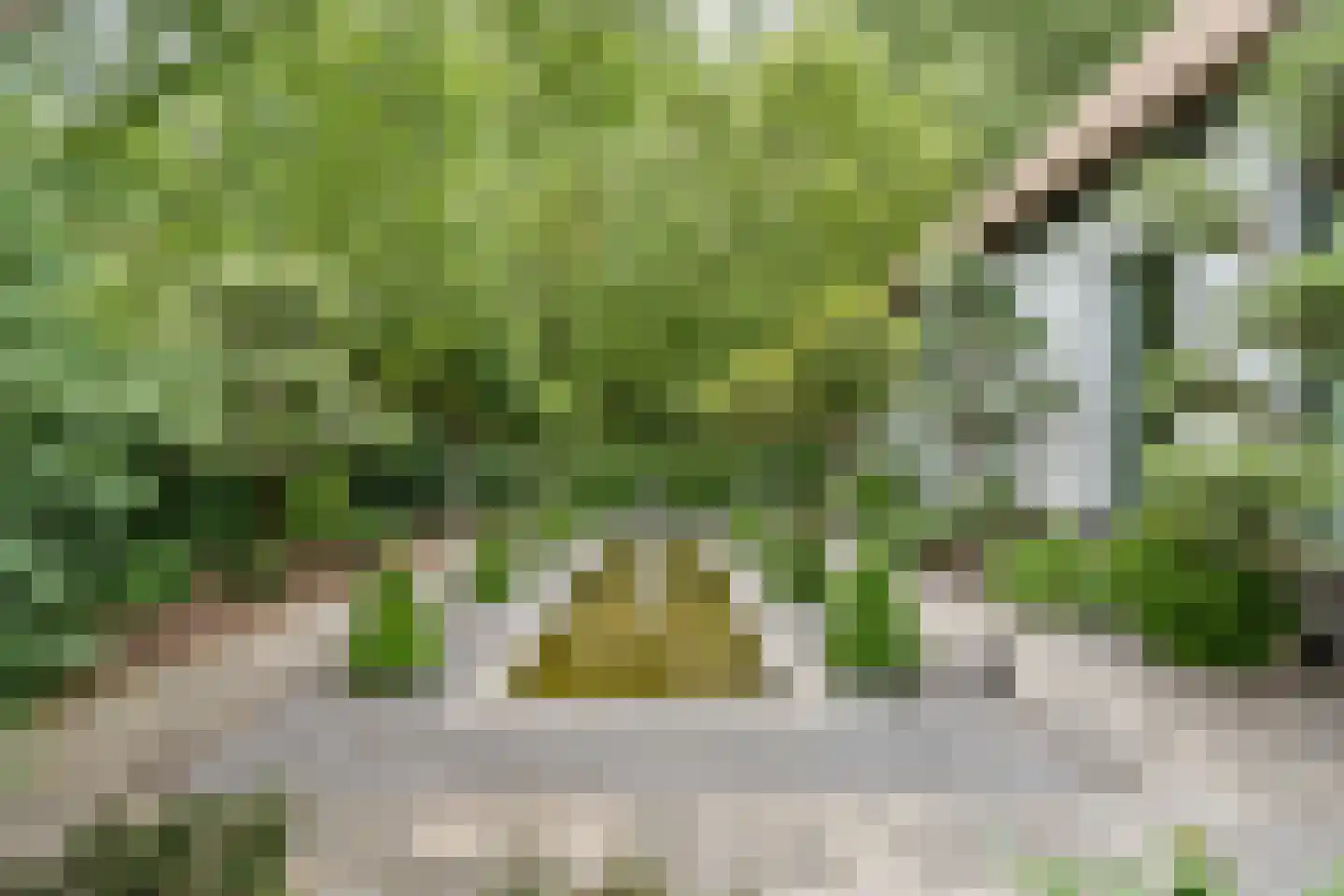 Banweg 2 Egmond aan den Hoef thumbnail 38