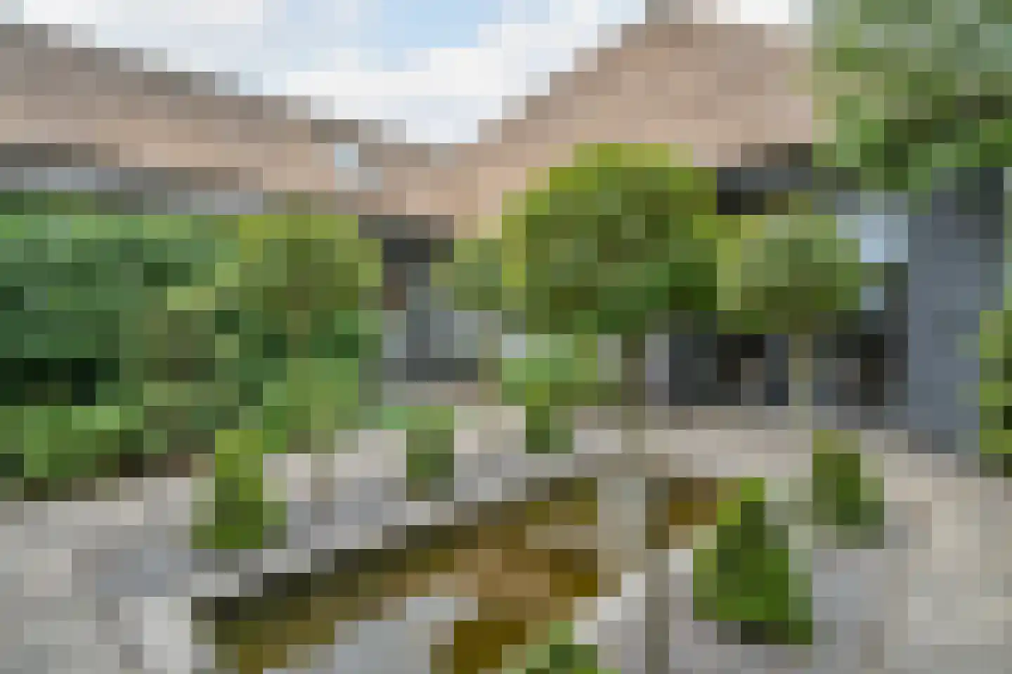 Banweg 2 Egmond aan den Hoef thumbnail 39