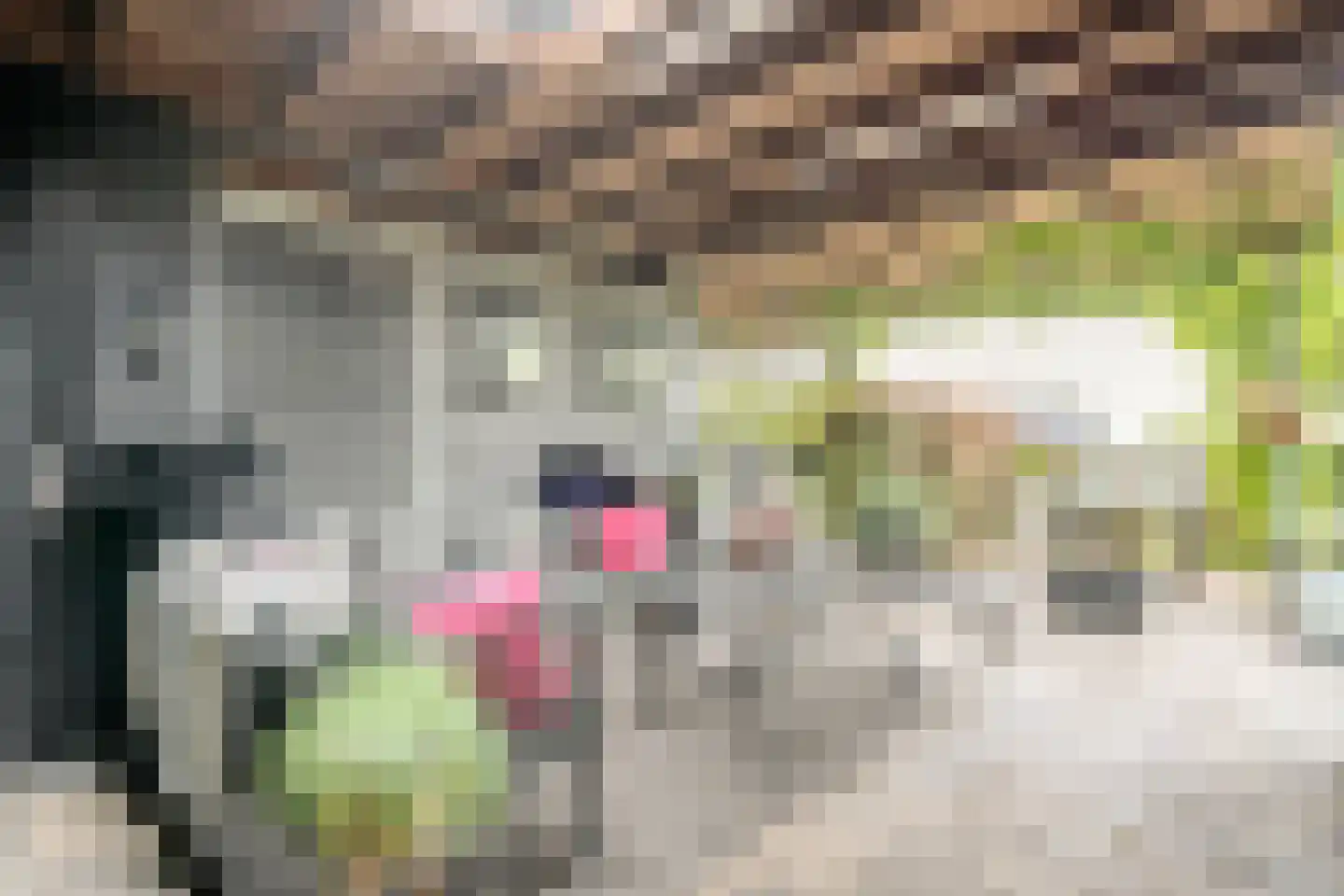 Banweg 2 Egmond aan den Hoef thumbnail 41