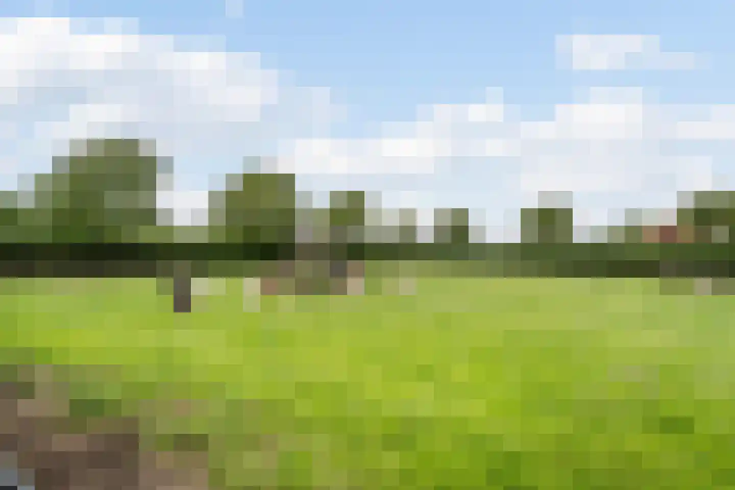 Banweg 2 Egmond aan den Hoef thumbnail 46