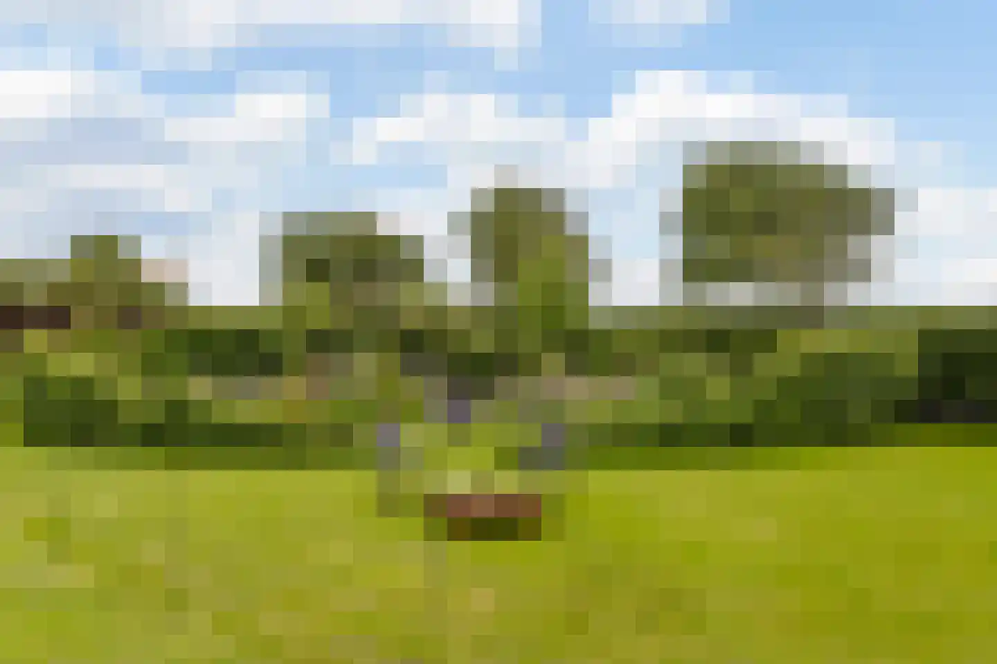 Banweg 2 Egmond aan den Hoef thumbnail 47