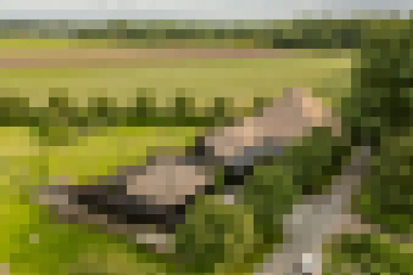 Banweg 2 Egmond aan den Hoef thumbnail 52