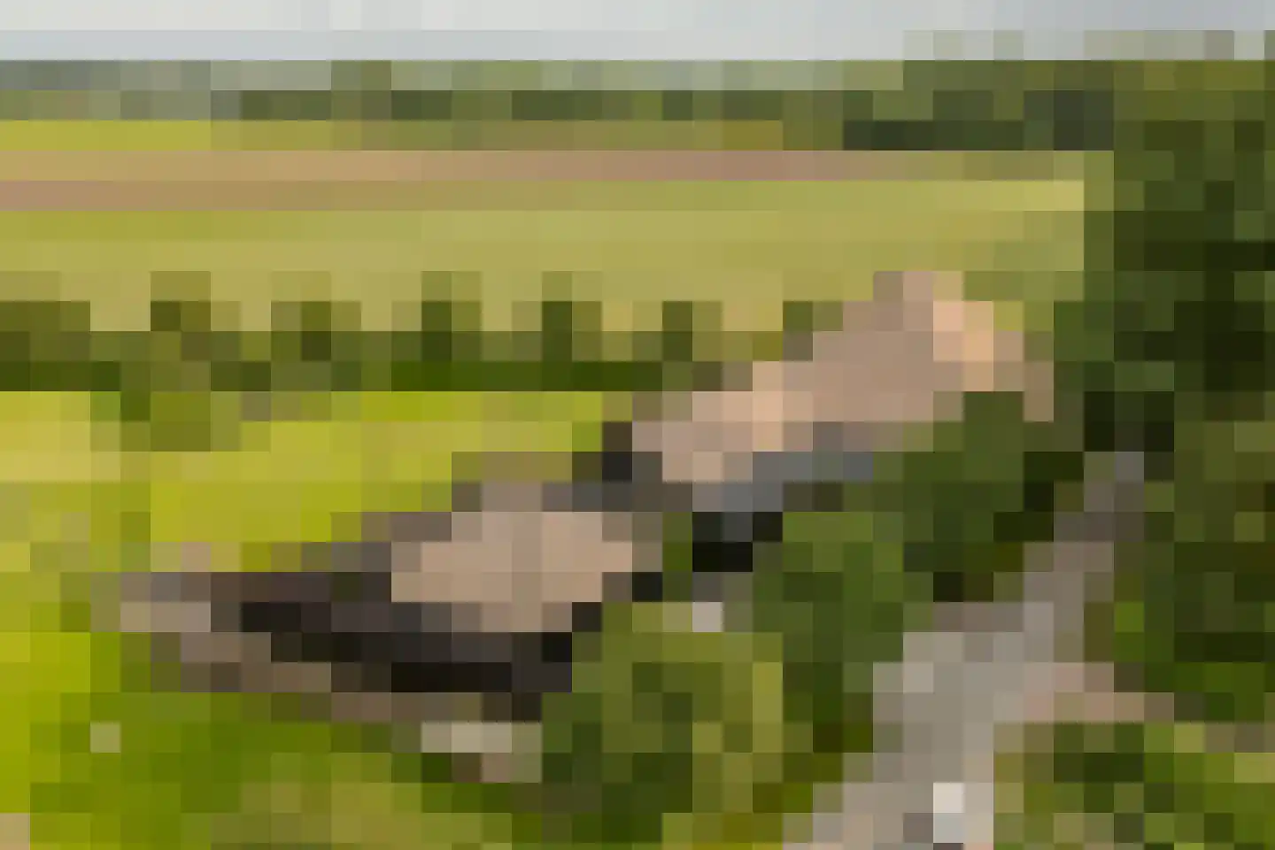 Banweg 2 Egmond aan den Hoef thumbnail 53