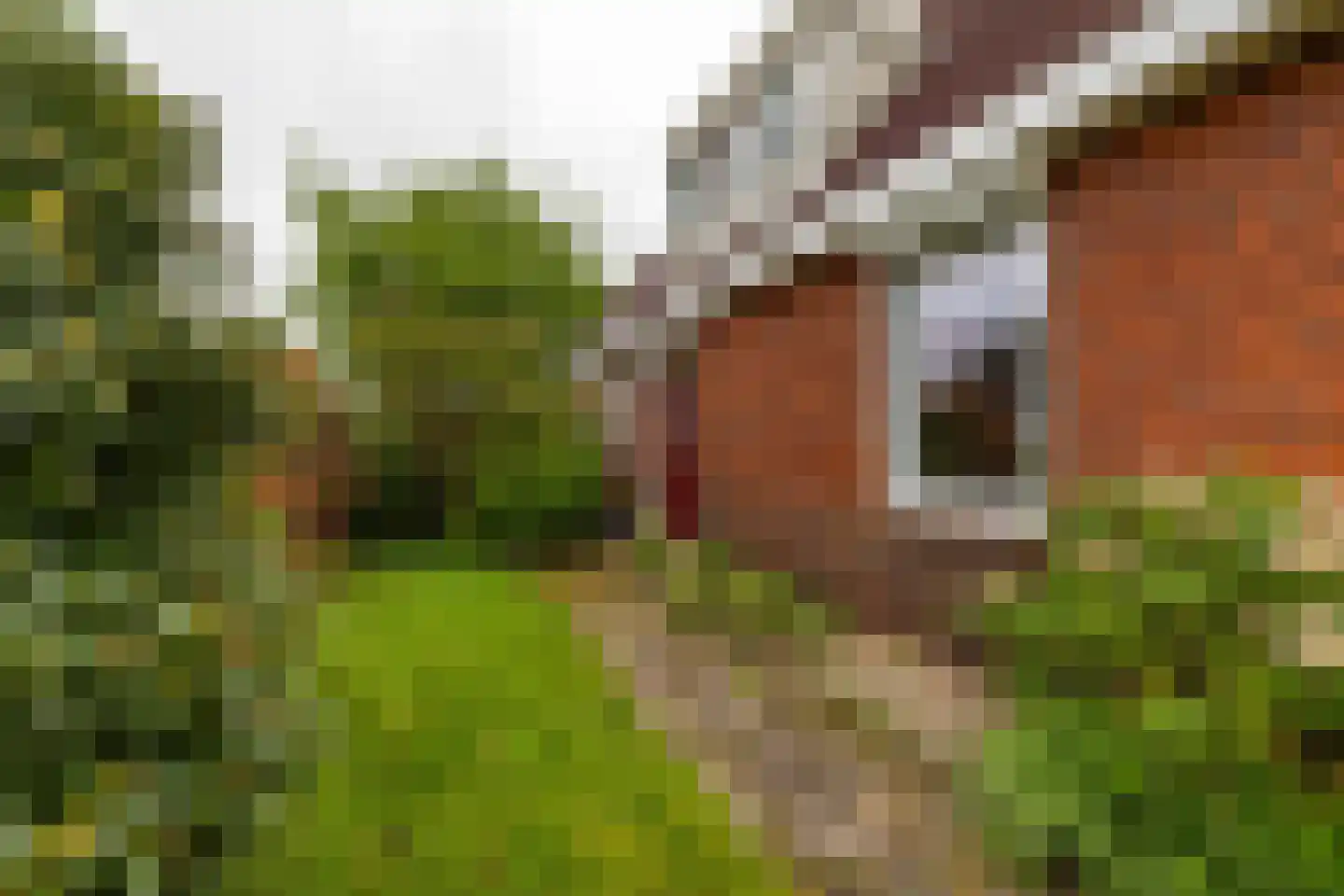 Baptistenkade 28 Gasselternijveen thumbnail 11