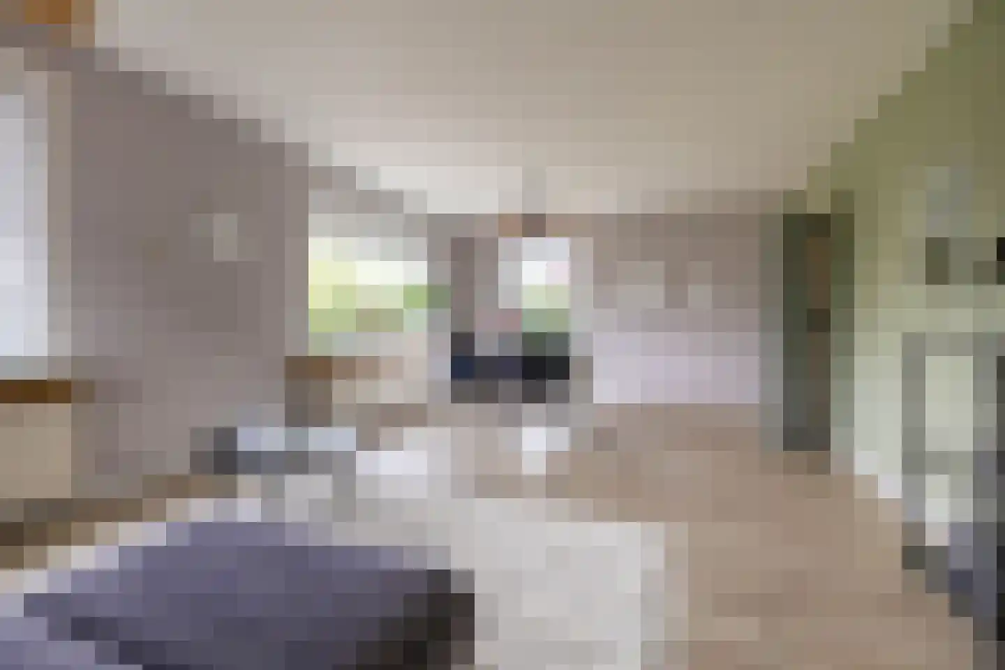 Baptistenkade 28 Gasselternijveen thumbnail 19
