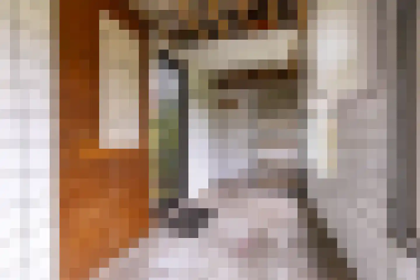 Baptistenkade 28 Gasselternijveen thumbnail 54