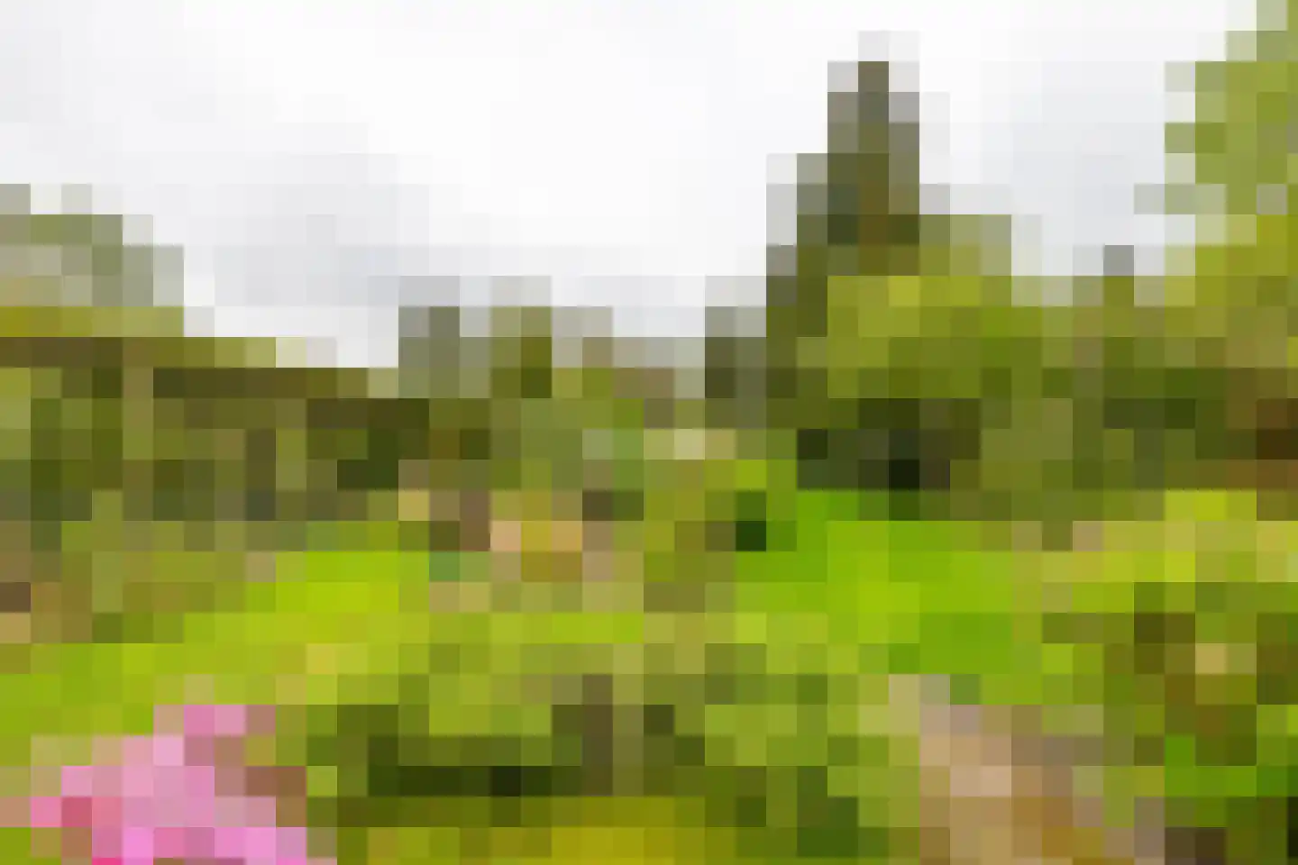 Baptistenkade 28 Gasselternijveen thumbnail 55