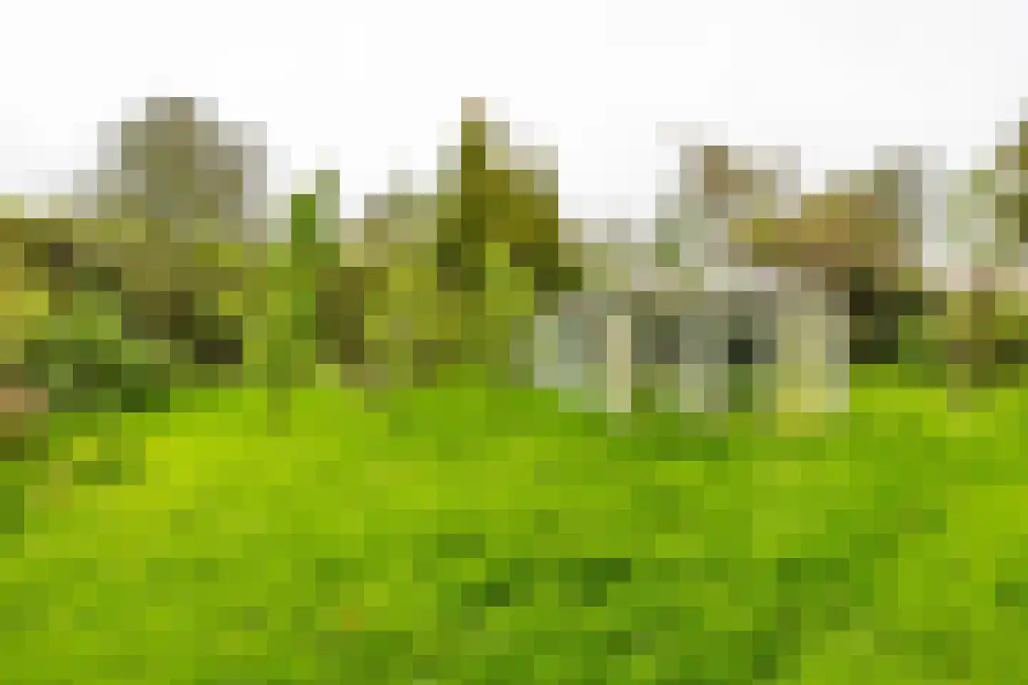 Baptistenkade 28 Gasselternijveen thumbnail 57