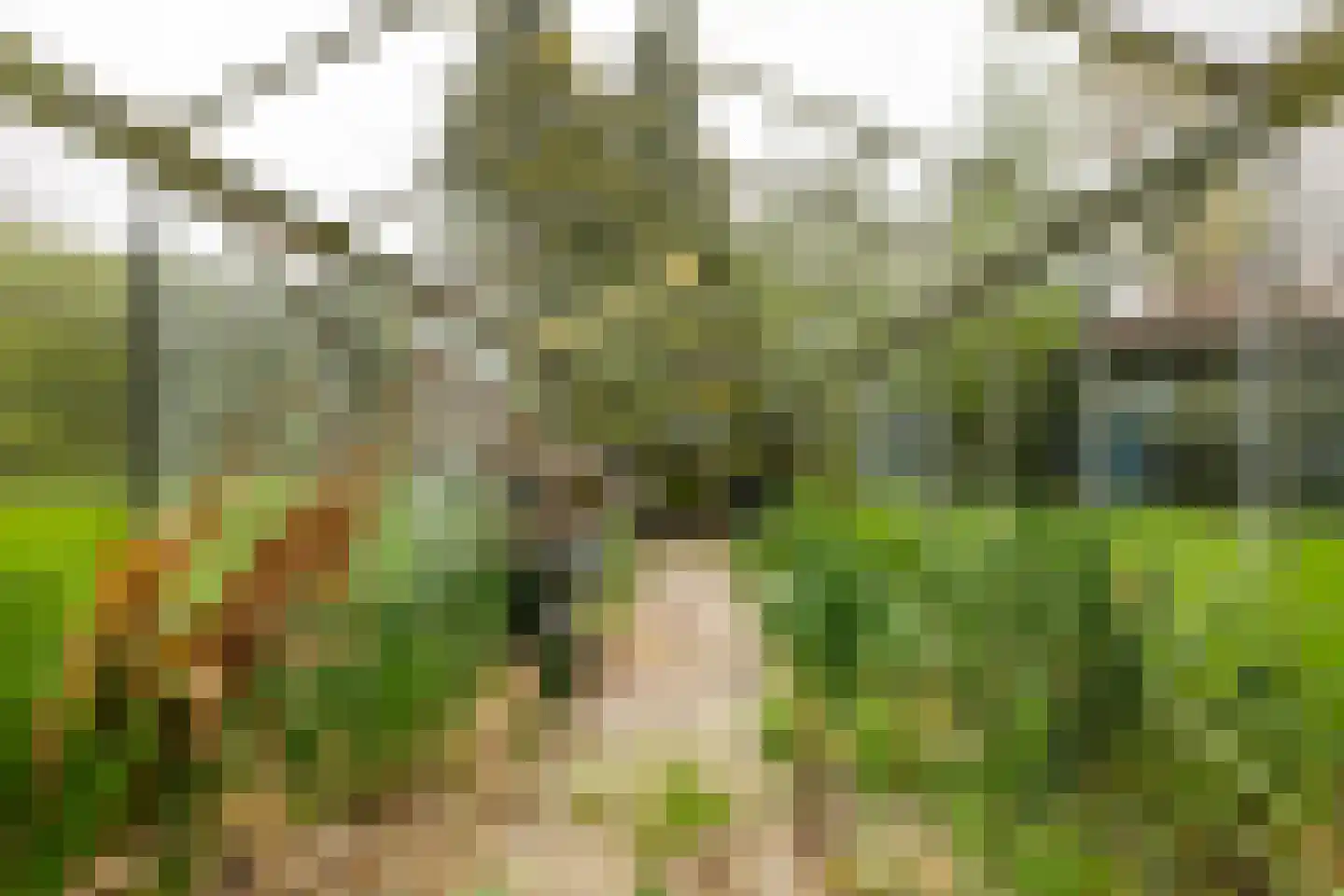 Baptistenkade 28 Gasselternijveen thumbnail 58