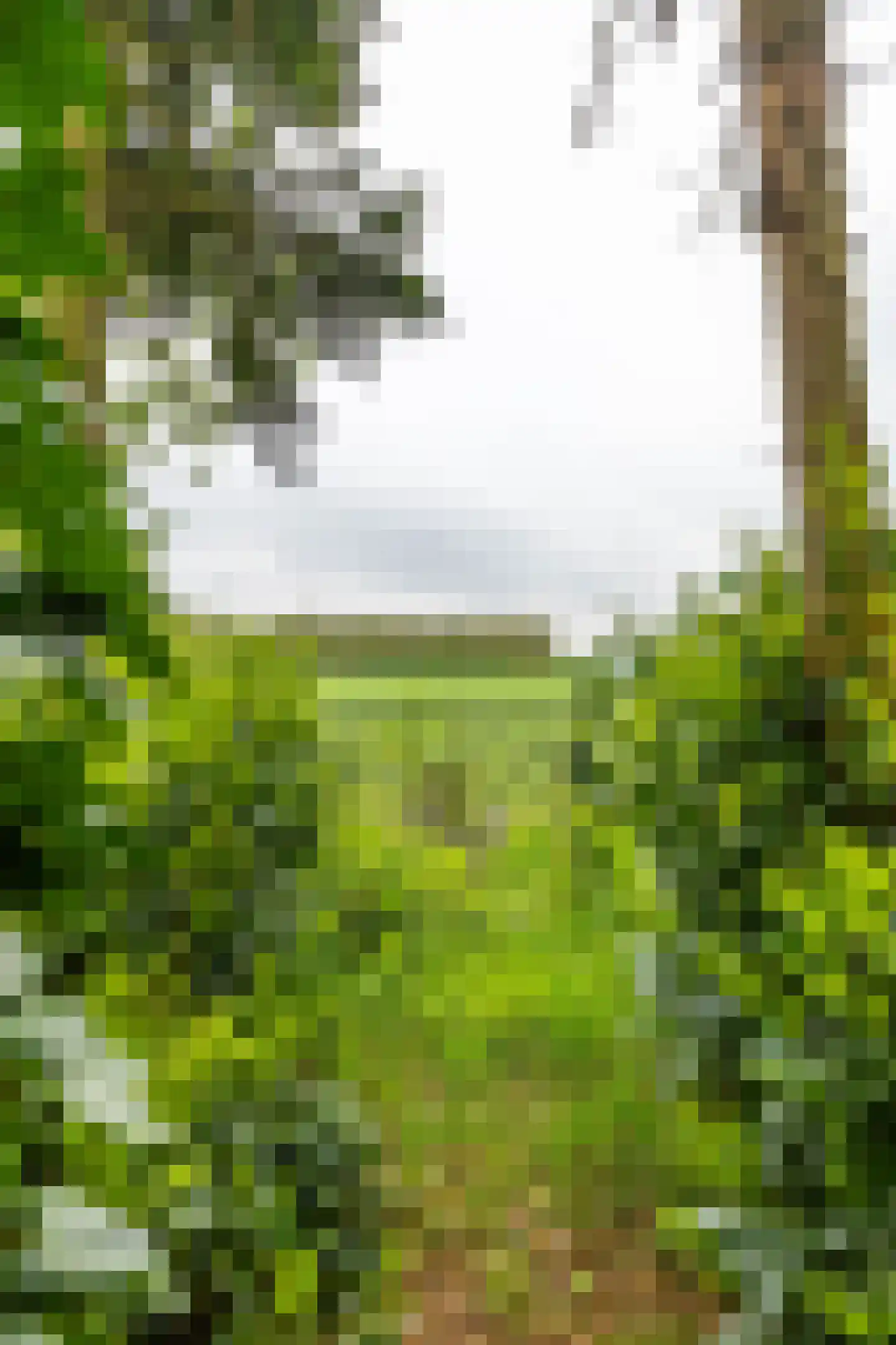 Baptistenkade 28 Gasselternijveen thumbnail 61