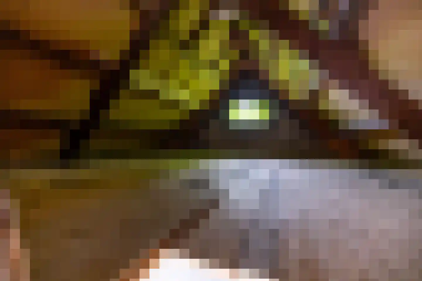 Baptistenkade 28 Gasselternijveen thumbnail 69