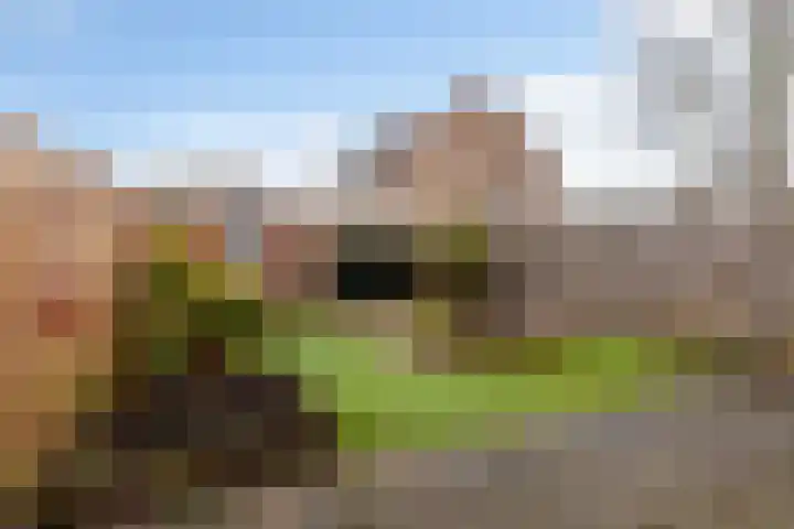 Barbadosstraat 25 Purmerend thumbnail 26