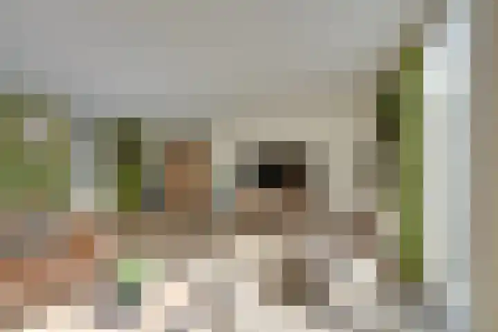 Barbadosstraat 25 Purmerend thumbnail 8