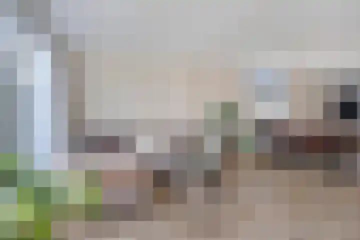 Barbadosstraat 55 Purmerend thumbnail 11