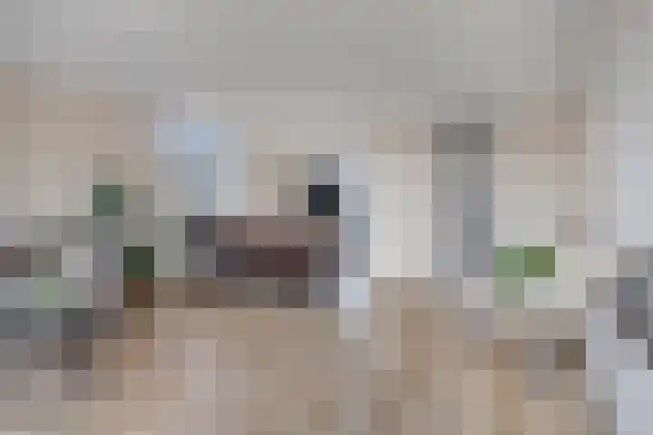 Barbadosstraat 55 Purmerend thumbnail 12