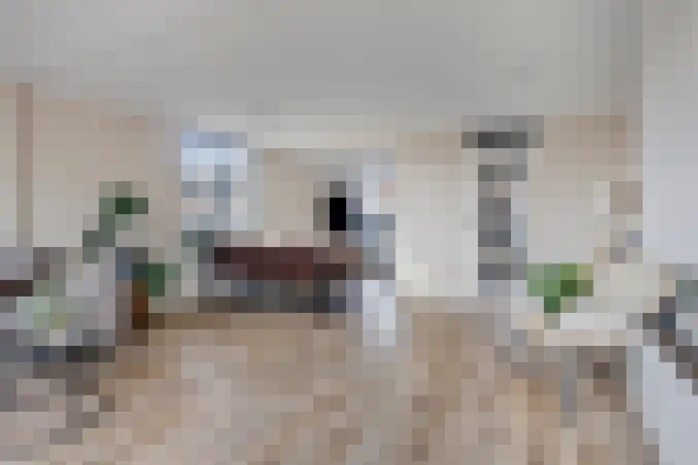 Barbadosstraat 55 Purmerend thumbnail 12