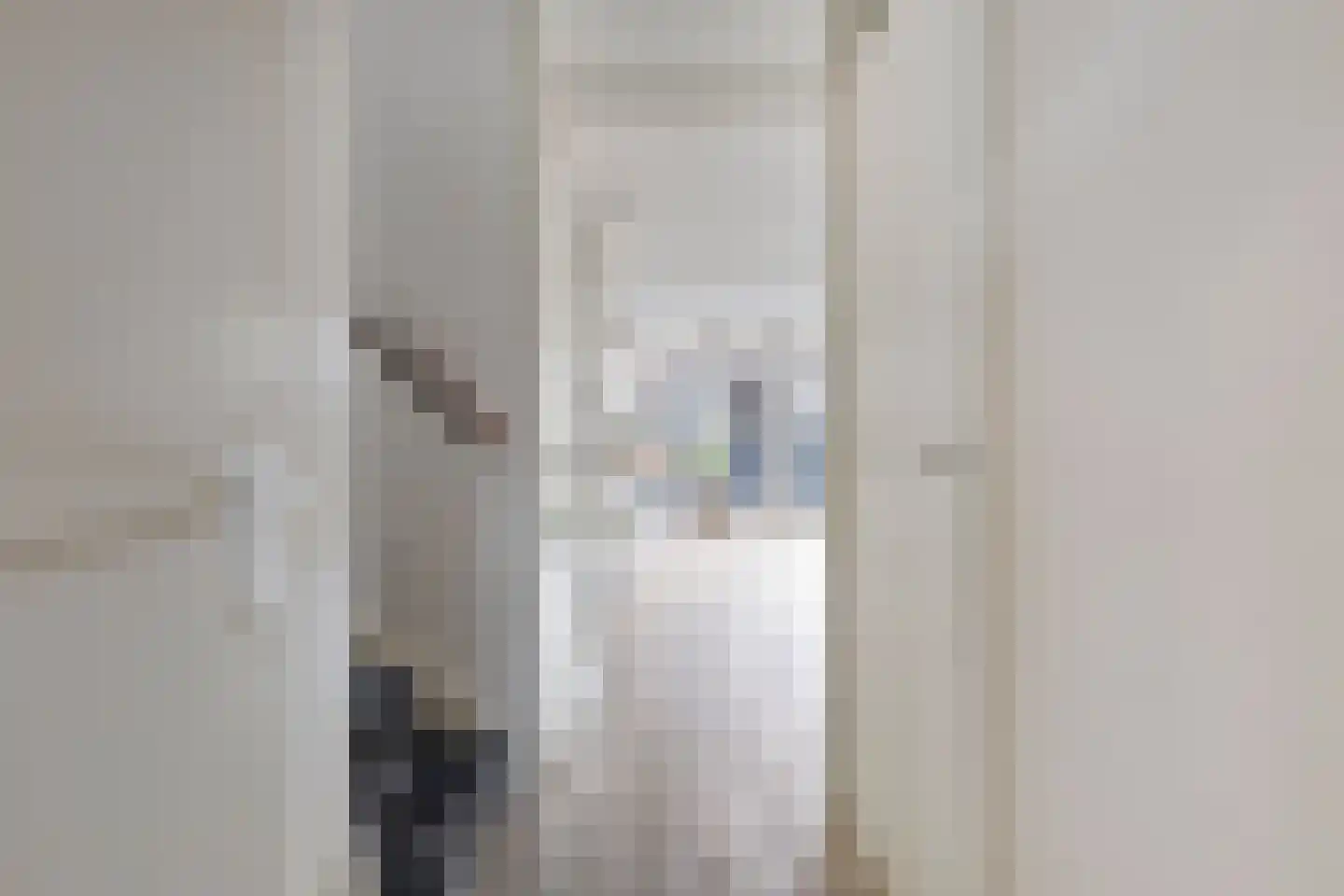 Barbadosstraat 55 Purmerend thumbnail 8