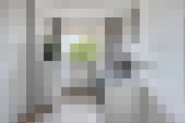 Barbadosstraat 6 Purmerend thumbnail 20