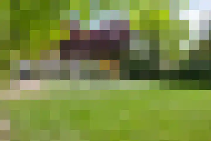 Barbadosstraat 6 Purmerend thumbnail 24