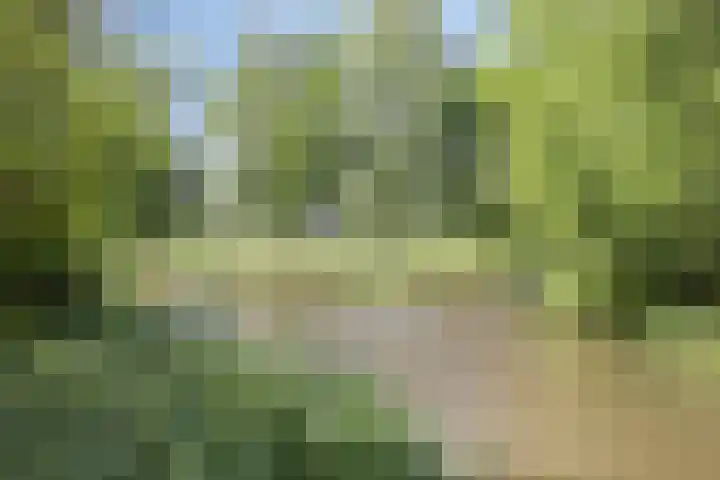 Barbadosstraat 6 Purmerend thumbnail 25