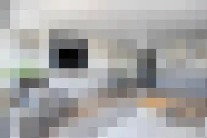 Barbadosstraat 6 Purmerend thumbnail 6