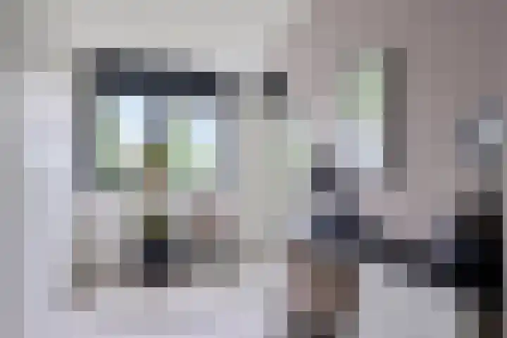 Barbadosstraat 80 Purmerend thumbnail 26