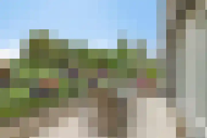Barbadosstraat 80 Purmerend thumbnail 47